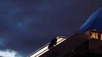 Insiden Biden tersandung di tangga menuju Air Force One ini terjadi hampir dua tahun setelah dia juga jatuh di tangga yang sama di Joint Base Andrews. Dalam insiden pada musim gugur Maret 2019 tersebut, di mana Biden terekam tersandung pada beberapa langkah, Gedung Putih mengatakan dia baik-baik saja 100% dan menyalahkan kondisi angin kencang saat itu hingga membuatnya tersandung.