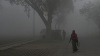 Tak cuma ibu kota negara, bahkan dari 50 kota paling berpolusi di dunia, 35 di antaranya ada di India.  