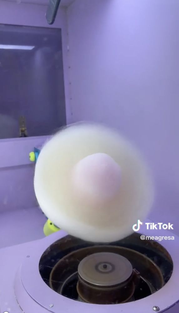 Gemas! Bunga-bunga Cantik Ini Dibuat dari Cotton Candy
