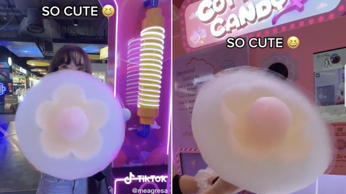 Gemas! Bunga-bunga Cantik Ini Dibuat dari Cotton Candy