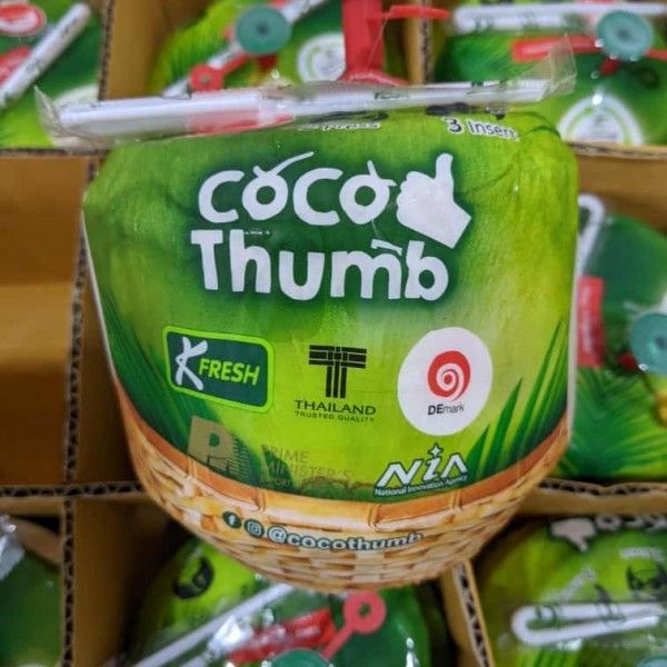 Ilustrasi Coco Thumb. Istimewa