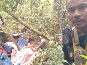 Cerita Tim Evakuasi Temukan Jejak Harimau Dekat Kapolda Jambi Cs