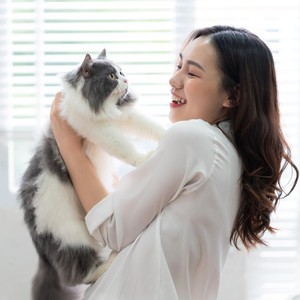 10 Jenis Kucing dan Sifatnya yang Paling Populer di Dunia