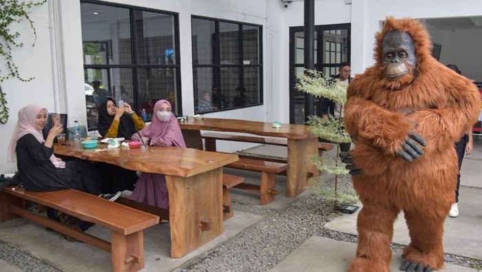 KAMPANYE PEDULI ORANGUTAN TAPANULI Relawan yang memakai kostum orangutan berswafoto dengan warga saat mensosialisasikan pelestarian Orangutan Tapanuli (Pongo tapanuliensis) di salah satu kafe di Medan, Sumatera Utara, Rabu (22/2/2023). Kampanye tersebut bertujuan untuk mengingkatkan kepedulian dan kesadaran tentang orangutan Tapanuli baik dari sisi populasi, habitat, keunikan, serta manfaatnya bagi kehidupan manusia. ANTARA FOTO/Fransisco Carolio/aww.