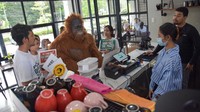 Relawan mengunakan kostum orangutan mensosialisasikan pelestarian Orangutan Tapanuli (Pongo tapanuliensis) di salah satu kafe di Medan, Sumatera Utara, Rabu (22/2/2023).