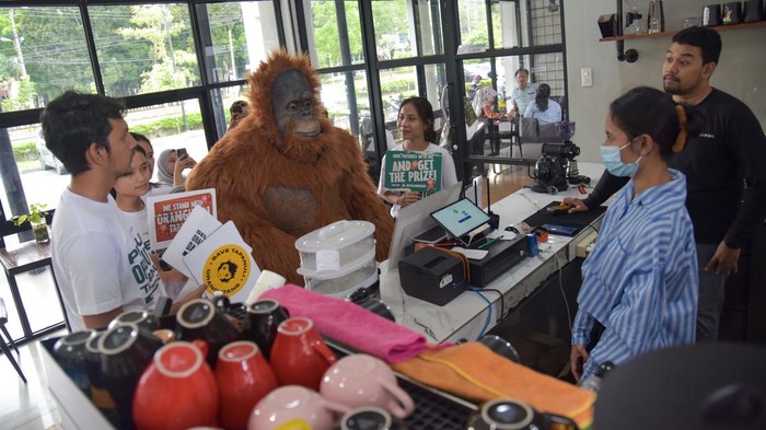 KAMPANYE PEDULI ORANGUTAN TAPANULI Relawan yang memakai kostum orangutan berswafoto dengan warga saat mensosialisasikan pelestarian Orangutan Tapanuli (Pongo tapanuliensis) di salah satu kafe di Medan, Sumatera Utara, Rabu (22/2/2023). Kampanye tersebut bertujuan untuk mengingkatkan kepedulian dan kesadaran tentang orangutan Tapanuli baik dari sisi populasi, habitat, keunikan, serta manfaatnya bagi kehidupan manusia. ANTARA FOTO/Fransisco Carolio/aww.