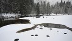 Lanskap Monokrom nan Syahdu di Taman Nasional Yosemite
