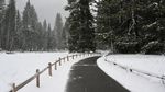 Lanskap Monokrom nan Syahdu di Taman Nasional Yosemite