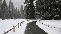 Sebagai informasi, Taman Nasional Yosemite merupakan taman yang berada di California Timur, AS dengan luas daerah sebesar 3,080.74 km persegi.