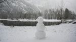 Lanskap Monokrom nan Syahdu di Taman Nasional Yosemite
