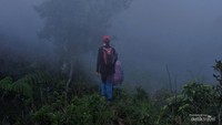 Jangan terlalu dekat dengan pohon namun jangan terlalu jauh juga