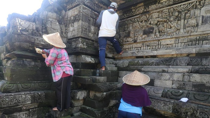 Pekerja membersihkan lumut yang tumbuh pada relief candi Tegowangi menggunakan lidi di Desa Tegowangi, Kediri, Jawa Timur, Selasa (21/2/2023). Candi Hindu yang dibangun pada masa Kerajaan Majapahit sekitar tahun 1400 masehi tersebut dibersihkan lumutnya secara berkelanjutan guna mencegah keroposnya relief terutama saat musim hujan. ANTARA FOTO/Prasetia Fauzani/foc.