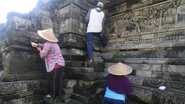 Mengenal Candi Tegowangi di Kediri Pekerja membersihkan lumut yang tumbuh pada relief candi Tegowangi menggunakan lidi di Desa Tegowangi, Kediri, Jawa Timur, Selasa (21/2/2023). Candi Hindu yang dibangun pada masa Kerajaan Majapahit sekitar tahun 1400 masehi tersebut dibersihkan lumutnya secara berkelanjutan guna mencegah keroposnya relief terutama saat musim hujan. ANTARA FOTO/Prasetia Fauzani/foc.