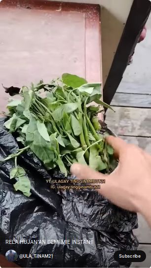 Bocah di Papua barter kangung dengan mie instan.