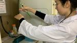 Resmi Menikah! Intip 6 Foto Nong Poy Si Transgender Peneliti Obat Kanker Payudara