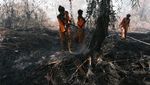 Potret Lahan Gambut yang Terbakar Usai Disegel Pemkot Pontianak