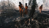 Sejumlah petugas pemadam kebakaran melakukan pembasahan di lahan gambut yang terbakar setelah disegel Pemerintah Kota (Pemkot) Pontianak di kawasan Parit Demang Dalam, Pontianak, Kalimantan Barat, Kamis (23/2/2023).