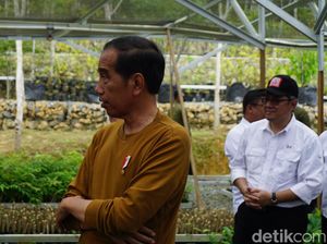Pamer Progres Rumah Menteri, Jokowi Pastikan IKN Dibangun!