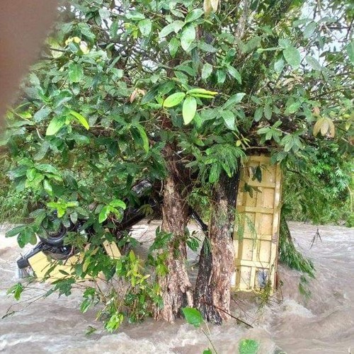 Sebuah truk terseret banjir di Kali Werang, Desa Legurlai, Kecamatan Elar, Kabupaten Manggarai Timur, Nusa Tenggara Timur (NTT), Rabu (22/2/2023) sore.