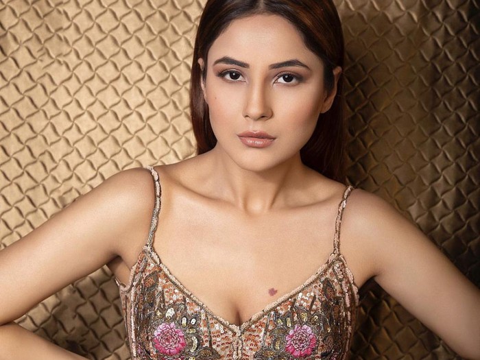 Shehnaaz Gill