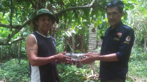 Warga Banjar Sumbersari menyerahkan anak Jalak Bali ke pegawai Taman Nasional Bali Barat, Kamis (23/2/2023). Anak burung itu ditemukan di kebun warga setempat.