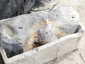 Penampakan Benda Mirip Muntahan Ikan Paus yang Ditemukan Nelayan Barru