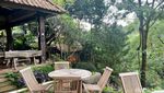 Hidden Gem di Cinere, Kafe di Pinggir Kali yang Asri