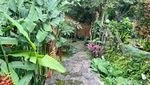Hidden Gem di Cinere, Kafe di Pinggir Kali yang Asri