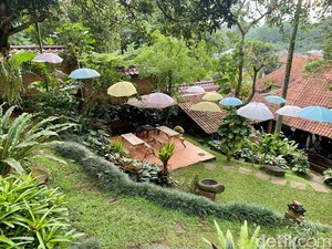 Ada Sambal Bakar Paru Enak di Pinggir Kali Cinere