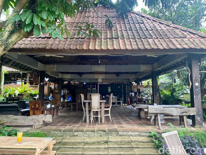 Cafe Kali Cafe Kali
