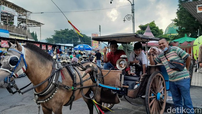 dokar di kota batu