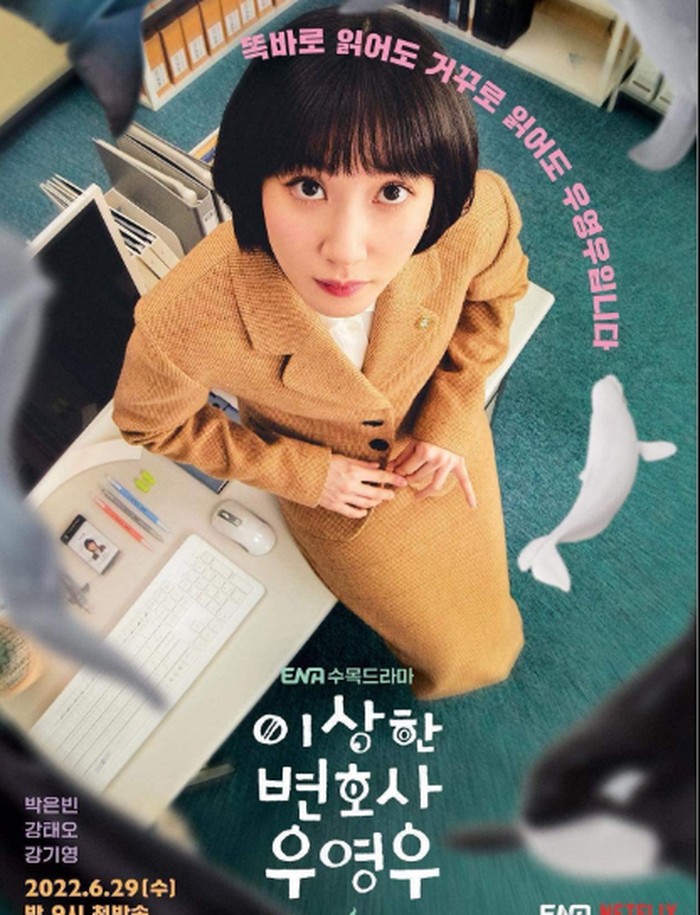 Extraordinary Attorney Woo