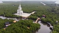 Selain itu, hutan mangrove ini memiliki 32 jenis pohon mangrove yang berperan penting sebagai habitat aneka hewan seperti ikan, kepiting, burung, monyet, dan reptil.