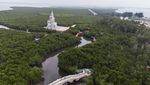 Asrinya Hutan Mangrove Kuala Langsa di Aceh