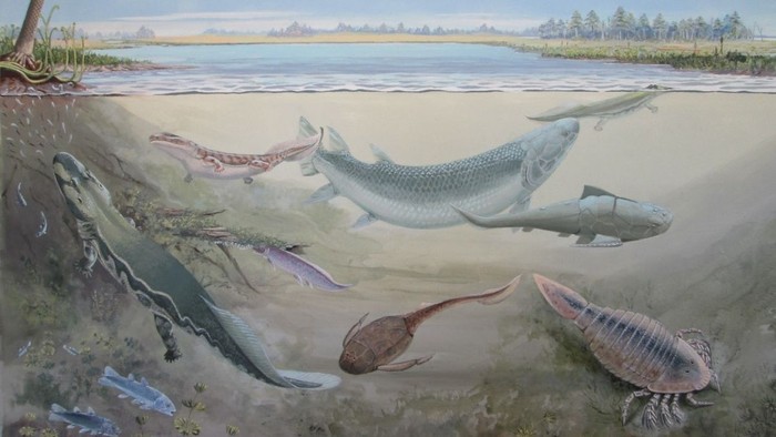 Interpretasi seorang seniman tentang kehidupan laut yang digali di situs Perkebunan Waterloo di Afrika Selatan, termasuk ikan raksasa Hyneria udlezinye.