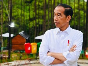 Jokowi Tanya ke Investor IKN: Kapan Mulai Macul?