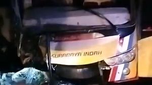 Kecelakaan Bus Vs Minibus di Sumbawa: 5 Orang Tewas, Banyak Korban Luka