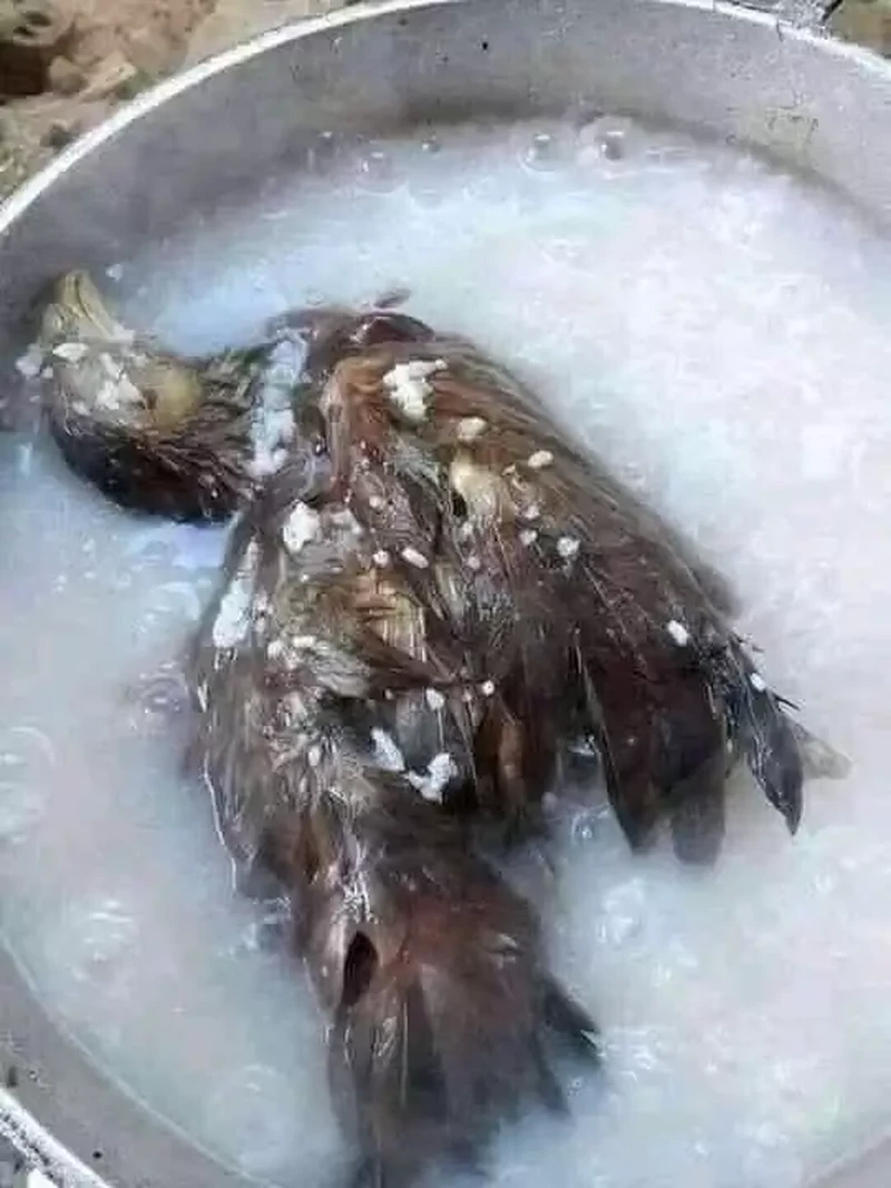 Nyeleneh! Ini 10 Penampakan Wajan Netizen yang Baru Belajar Masak