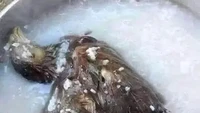 Mencoba membuat bubur ayam, sayangnya ada langkah yang tertinggal dilakukan netizen ini. Ayam utuh yang belum dibersihkan langsung masuk ke dalam wajan. Foto: Facebook/Twitter/1cak