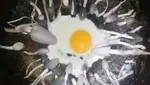 Ini 10 Penampakan Wajan Netizen yang Baru Belajar Masak