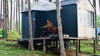 Lebih lanjut, Bambang menjelaskan dengan mengembangkan kawasan wisata, nantinya IKN tidak hanya akan menjadi kota pemerintahan saja, tetapi juga akan menjadi kota bisnis dan edukasi yang serasi dengan alam.