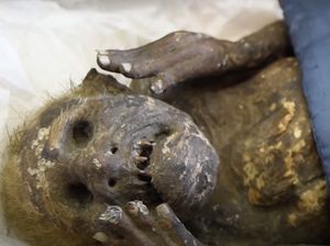 Terpopuler Sepekan: Terbongkarnya Misteri Mumi Mermaid-Heboh Sekolah Jam 5 Pagi