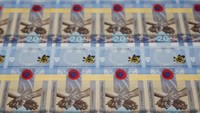 Berkat miliaran dolar bantuan asing dari mitra Barat, cadangan mata uang keras Ukraina telah tumbuh menjadi hampir $30 miliar, sedikit lebih tinggi daripada saat awal perang. Ukraina juga telah memberlakukan sanksi terhadap lembaga keuangan Rusia.  