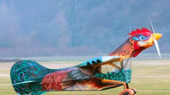 Pesawat kecil ini mungkin hanya mampu membawa dua orang, tetapi hal itu diimbangi dengan desain ayam jantan yang unik dan warna yang menarik. Foto: tops.easyvoyage.co.uk