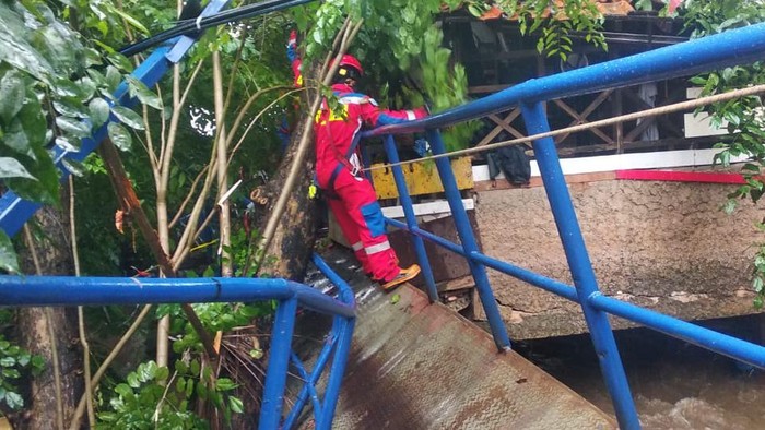 Pohon Tumbang di Cipinang Jaktim, Jembatan hingga Rumah Rusak Tertimpa