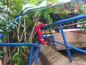 Pohon Tumbang di Cipinang Jaktim, Jembatan hingga Rumah Rusak Tertimpa