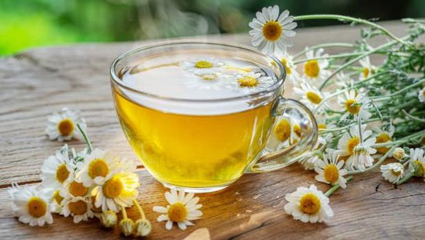 Teh Oolong dan Chamomile. Teh oolong memiliki kandungan kafein yang sedang, satu cangkir teh oolong (240 ml) mengandung sekitar 37-55 mg kafein. Sementara teh chamomile biasanya dikonsumsi sebagai minuman yang menenangkan, namun juga mengandung kafein meski dalam jumlah kecil. Satu cangkir teh chamomile (240 ml) mengandung sekitar 2 mg kafein.