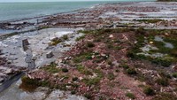 Foto udara sisa-sisa Kota Miramar de Ansenuza.