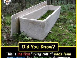 10 Fakta Menarik yang Bikin Pengetahuan Kamu Tambah Luas