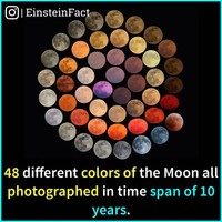 Einstein Fact